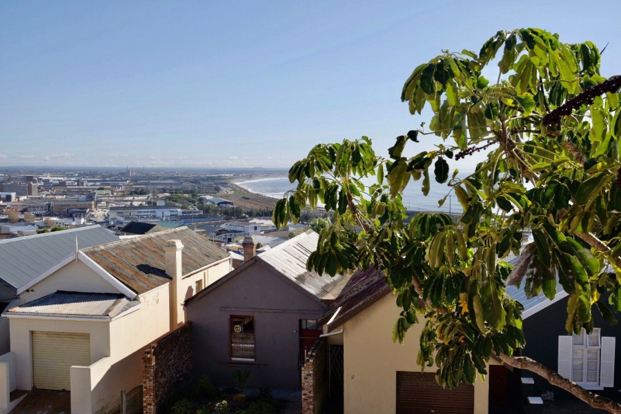 To Let 3 Bedroom Property for Rent in Richmond Hill Eastern Cape